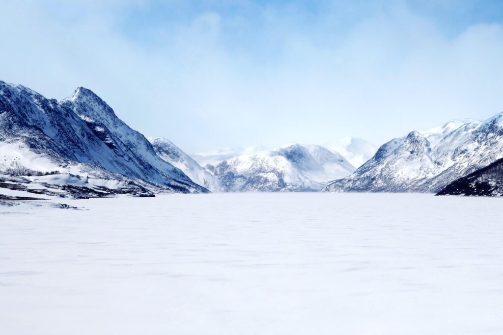 Francesca Hotchin FN Cedy6NHA Unsplash 1024x683